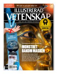 Illustrerad Vetenskap